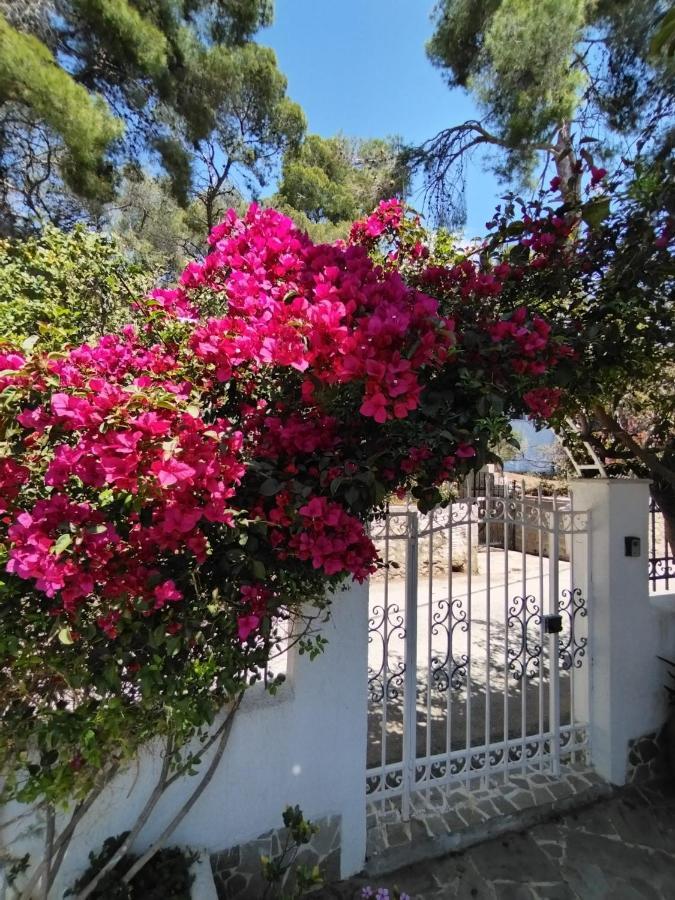 Rigos House At Askeli Beach, Poros Island Poros Town Exterior photo